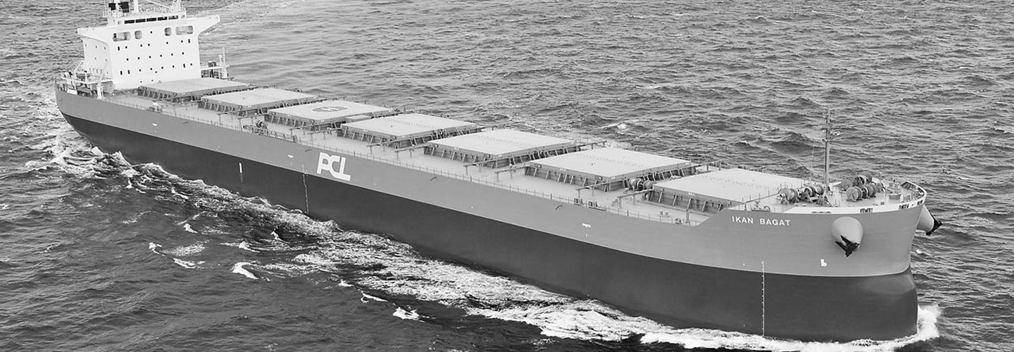 Heavy Lift, Projects vessel chartering